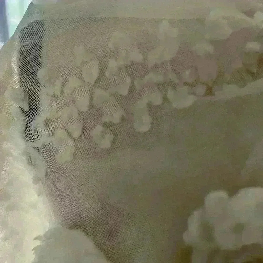 Zara Sheer Blouse NWT NWT - image 5